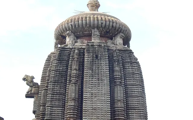 Zoho partner in Bhubaneswar